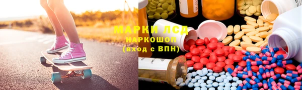 гидра Арсеньев