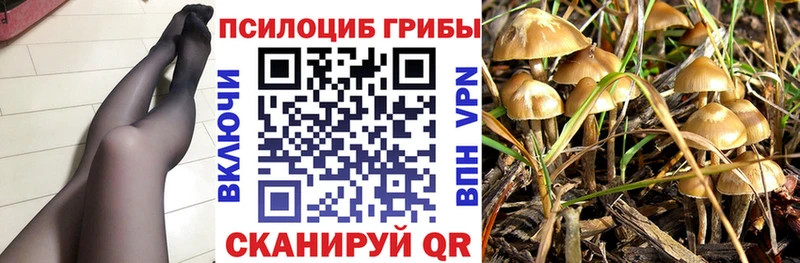 Купить где  Суоярви  Галлюциногенные грибы Magic Shrooms 